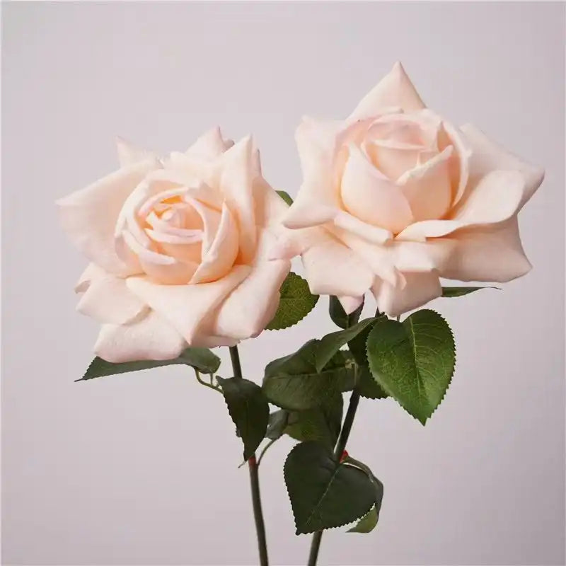 31285088452765.webp