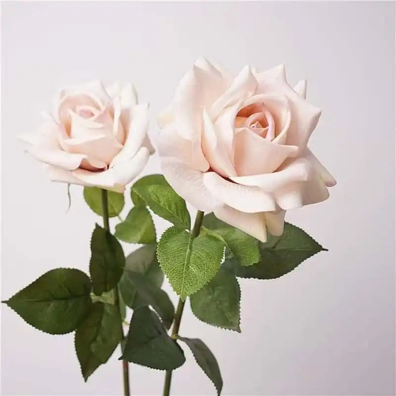 31285088485533.webp