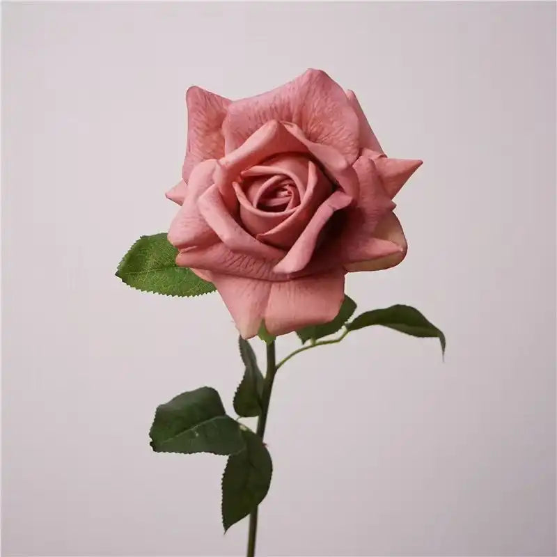 31285213921437.webp