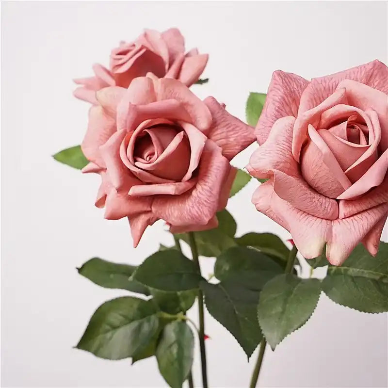 31285213986973.webp