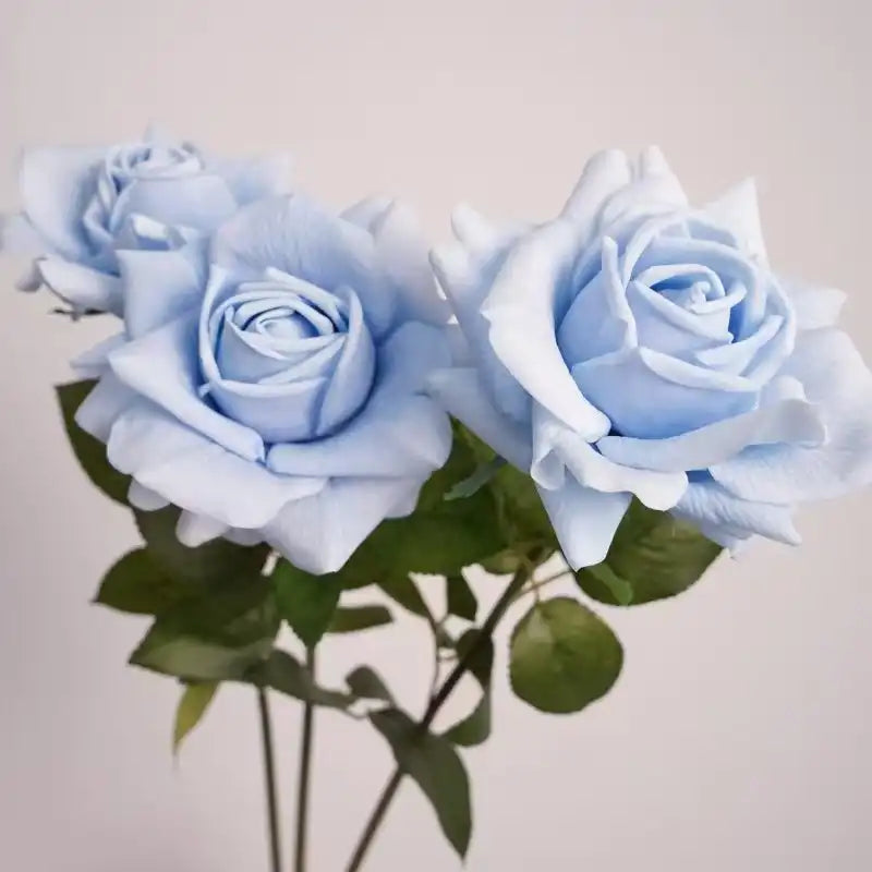 31287346135197.webp