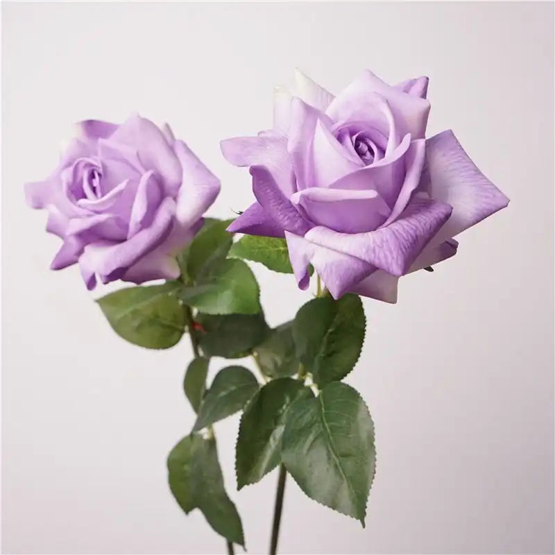 31287407673501.webp