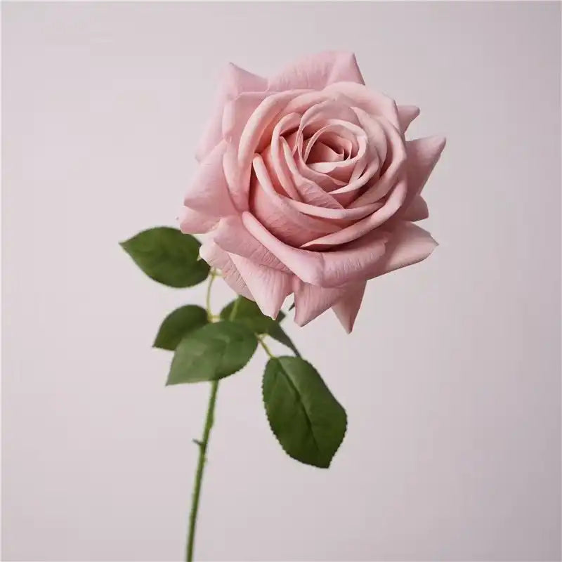 31287423828125.webp