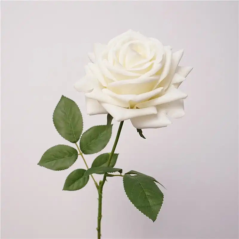 31287767105693.webp