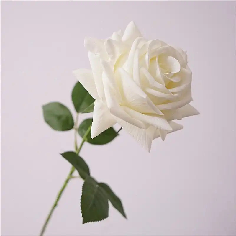 31287767203997.webp