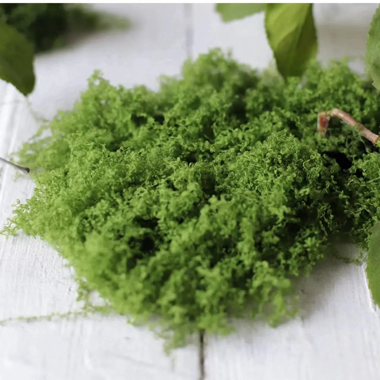 Artificial Moss – Realistic Faux Moss