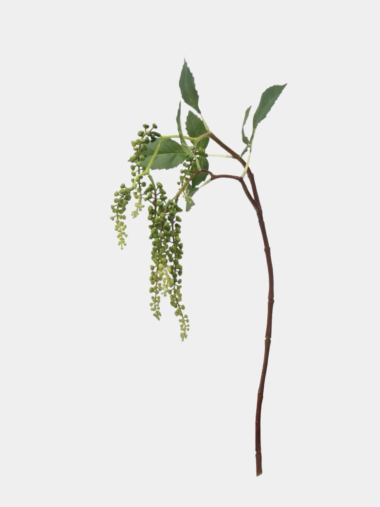 Artificial Pokeweed Hanging Stem -27.5"