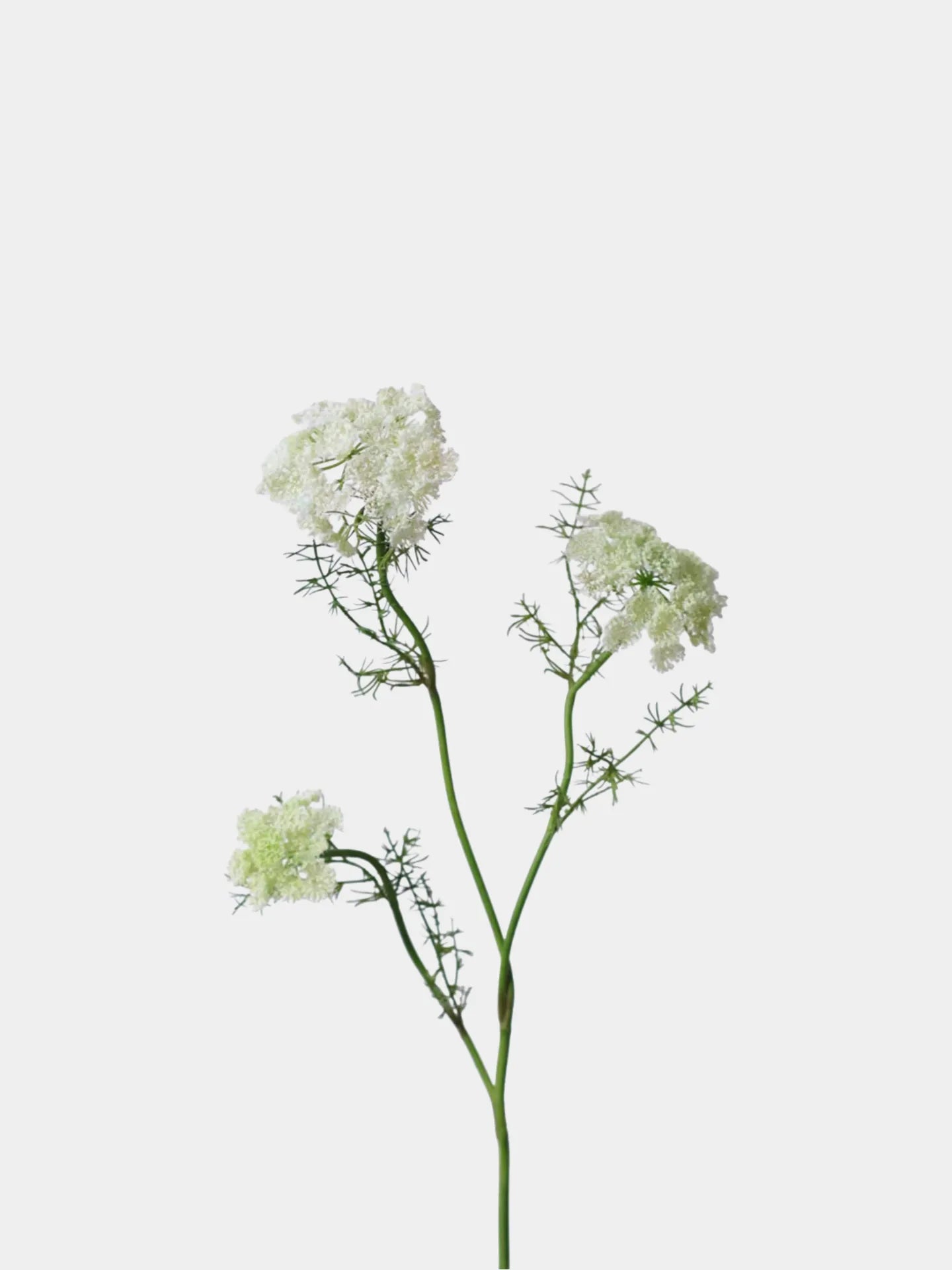 Faux Queen Anne’s Lace – 75 cm Lifelike Wildflower Stem