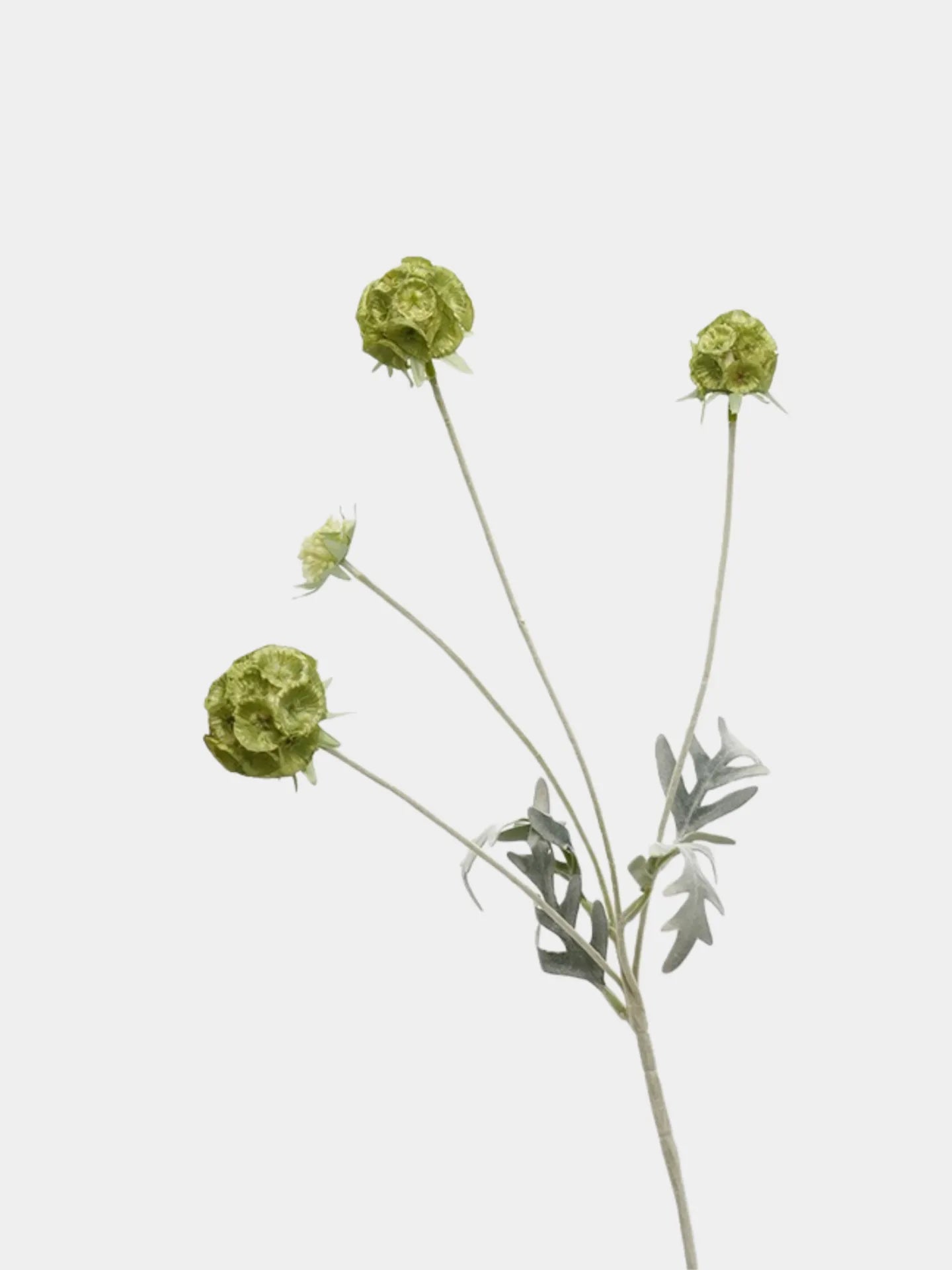 Faux Scabiosa Seed Pod Flower –23"
