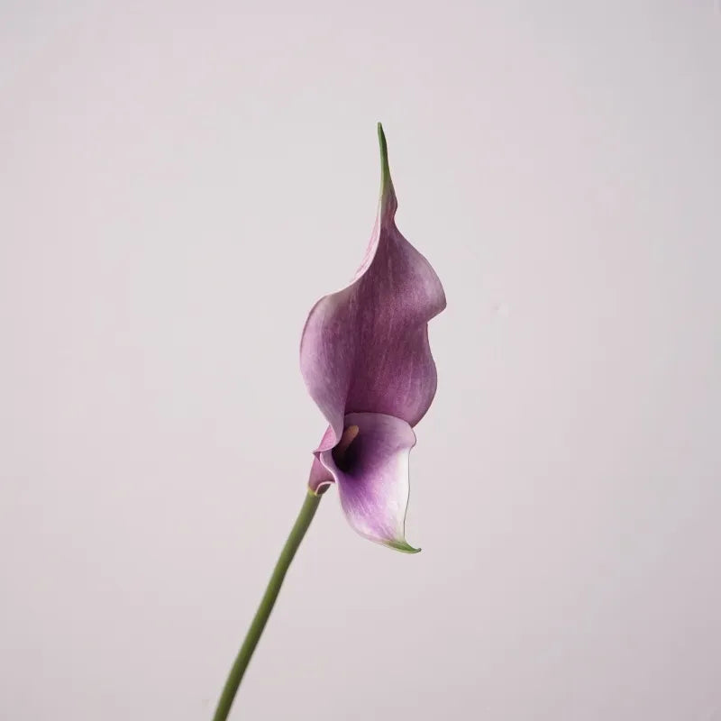 Faux Calla Lily –23"