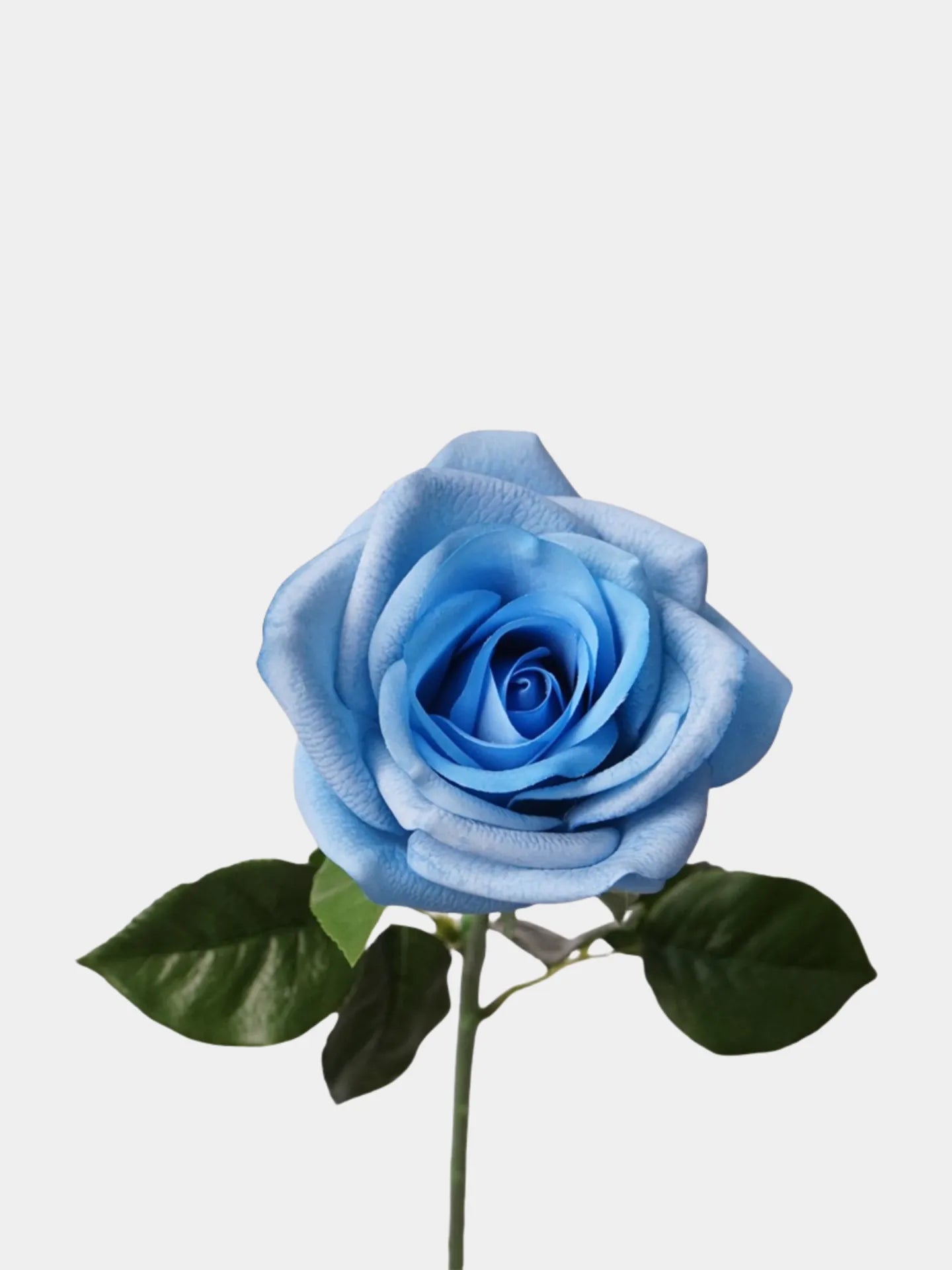 Real Touch Carola Rose -25.6”