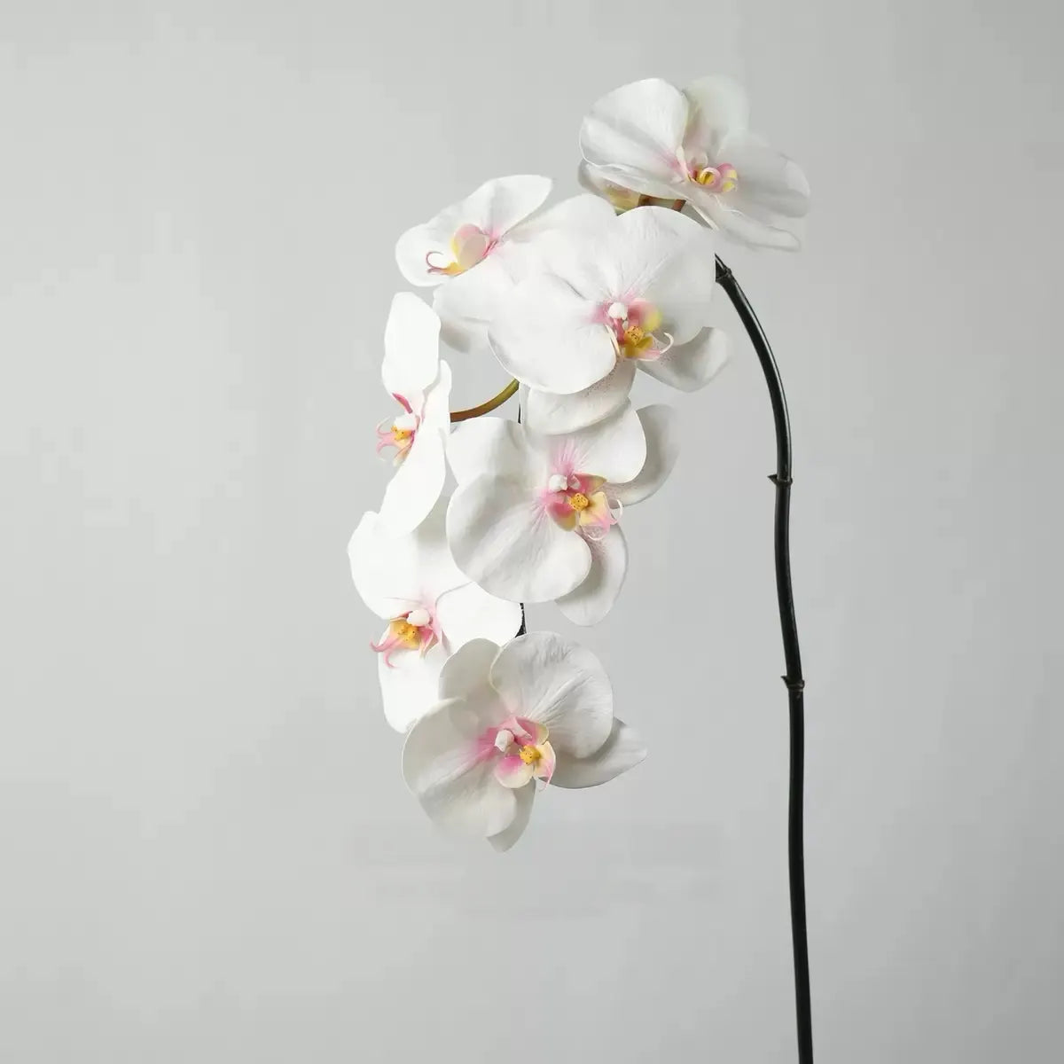 Premium Real Touch Phalaenopsis-Orchidee in Weiß – 91 cm