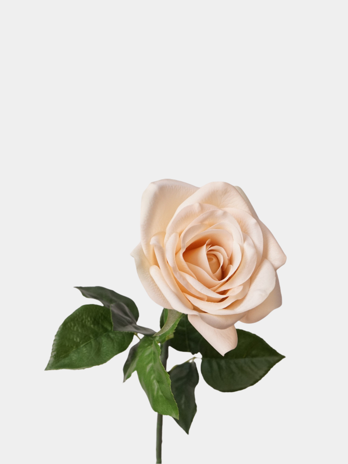 
Künstliche Blumen mit echtem Touch Rose in Pink-28"