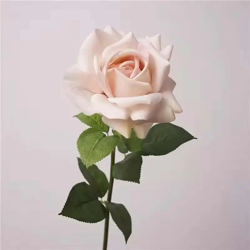 31285088518301.webp