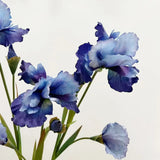 31298056585373.webp