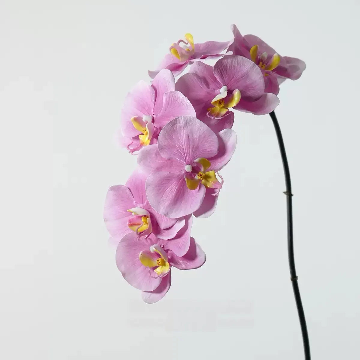 Premium Phalaenopsis-Orchidee „Real Touch“ in Pink – 91 cm