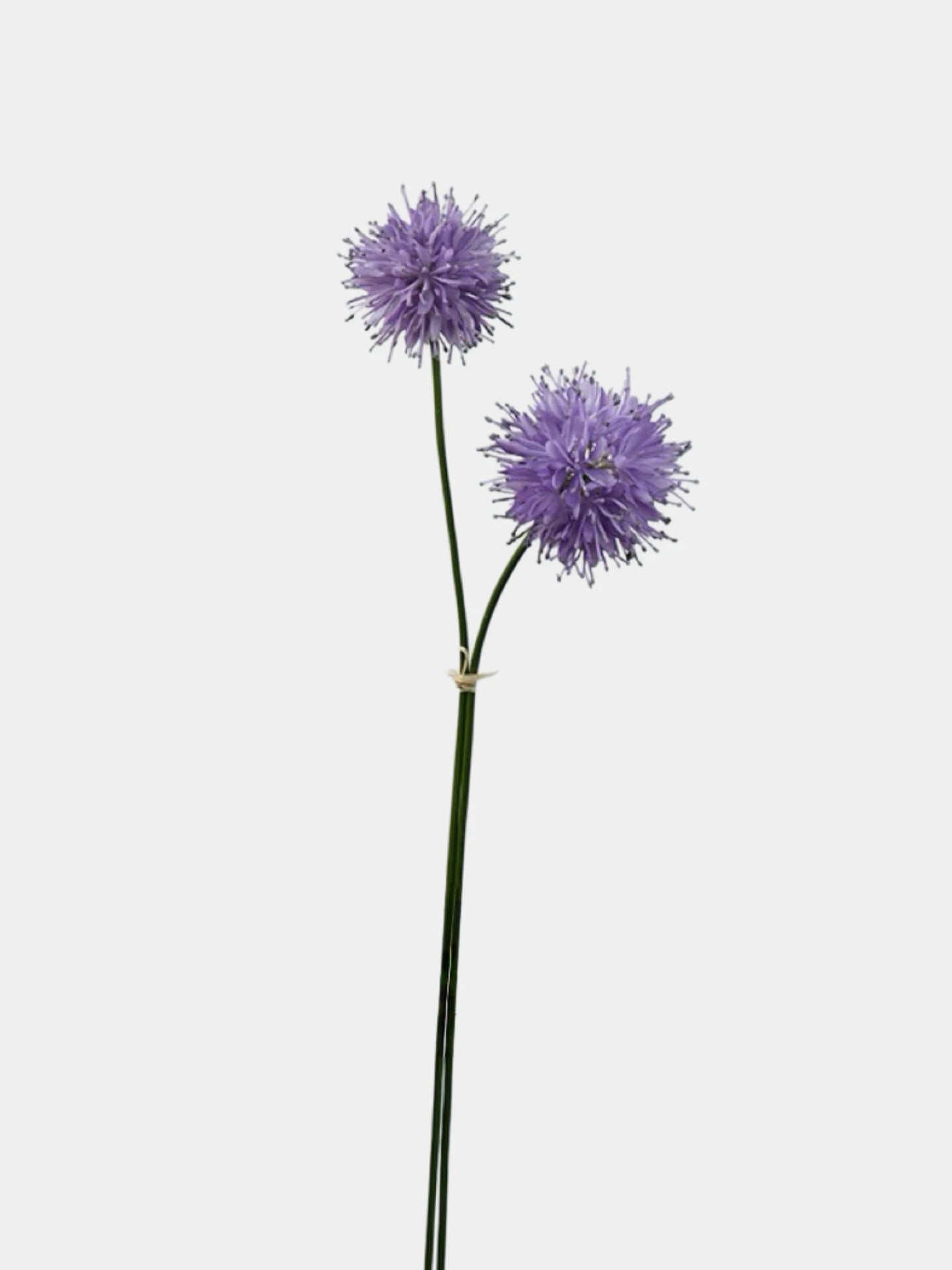 Artificial Allium Globe Spray –24"
