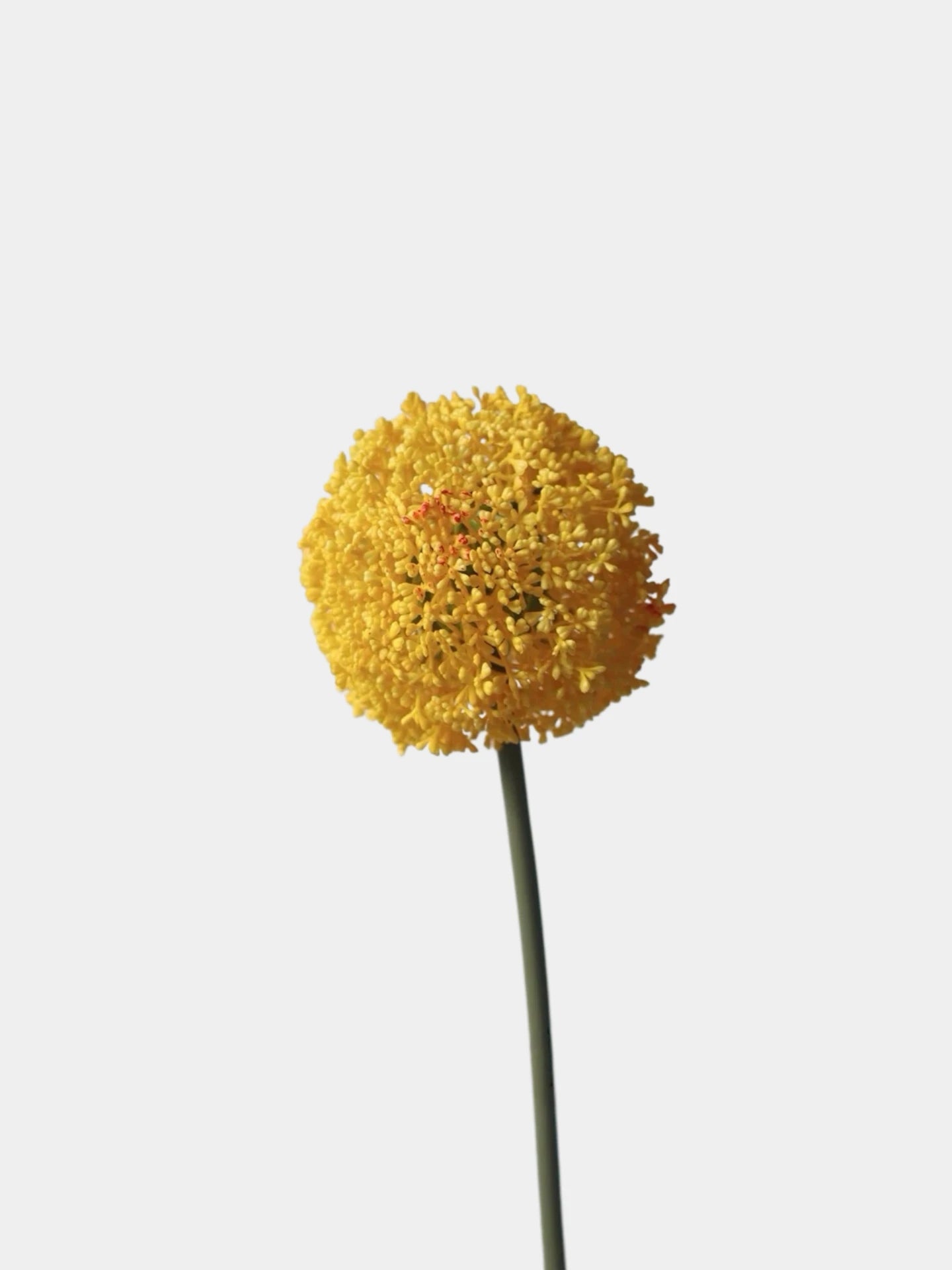 Artificial Allium Globe Stem – 27"