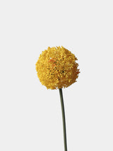 Artificial Allium Globe Stem – 27"