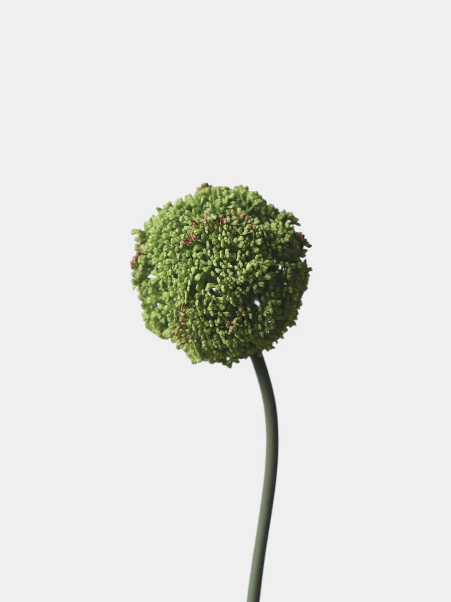 Artificial Allium Globe Stem – 27"