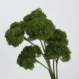 Artificial Allium Stem - 31.5"