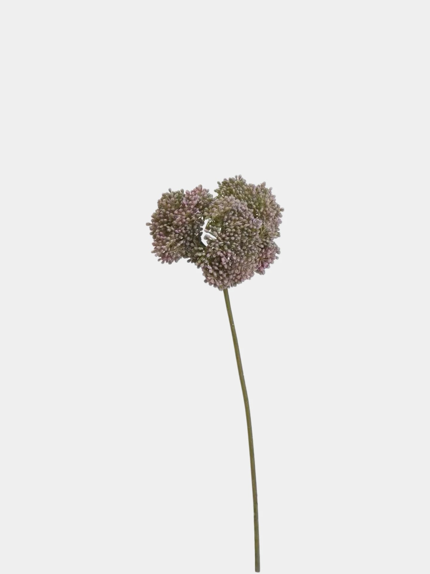 Artificial Allium Stem - 31.5"