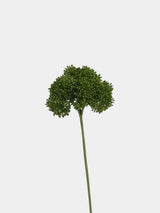 Artificial Allium Stem - 31.5"