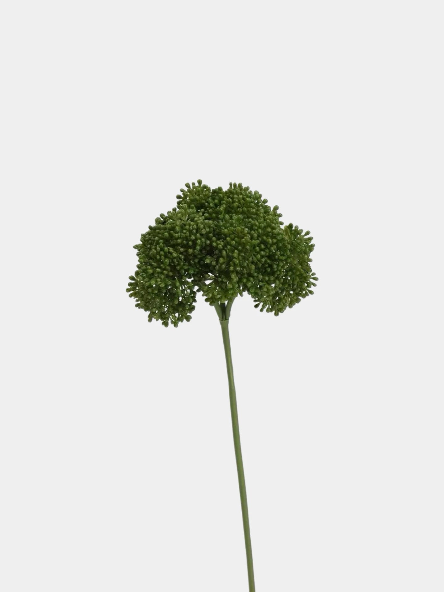 Artificial Allium Stem - 31.5"