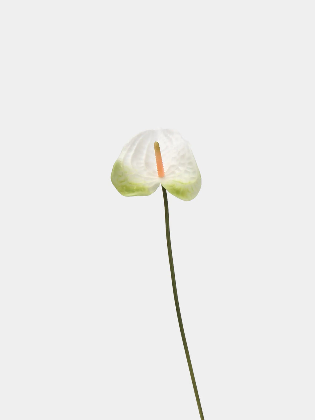 Artificial Anthurium Stem  –White‑Green 22.8"