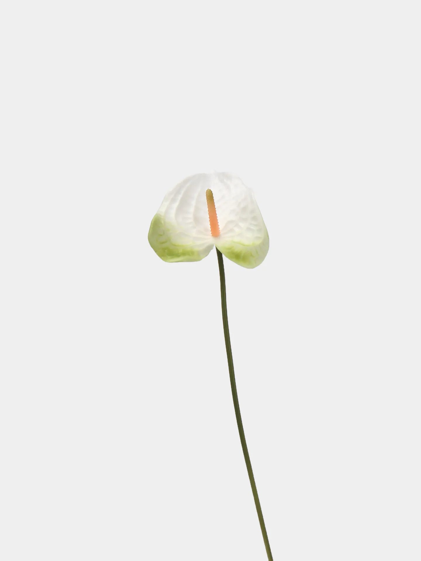 Artificial Anthurium Stem  –White‑Green 22.8"