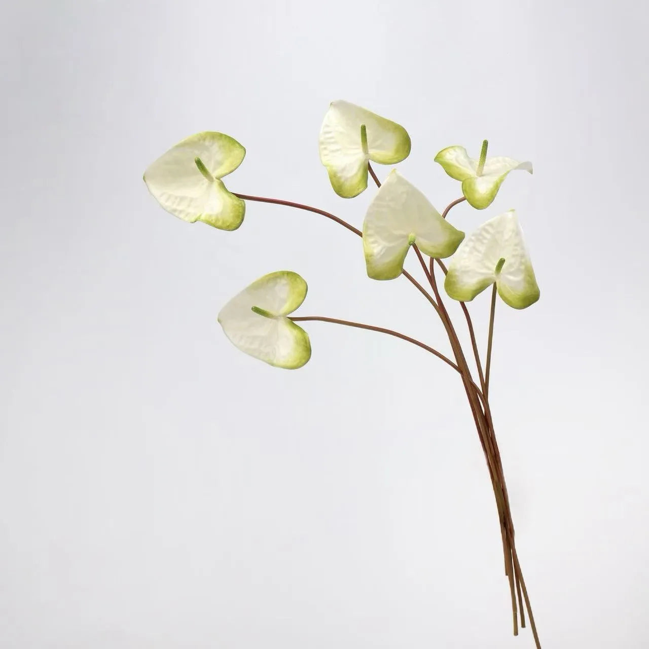 artificial anthurium flower Artificial Anthurium Stem -Green – Amoria Bloom