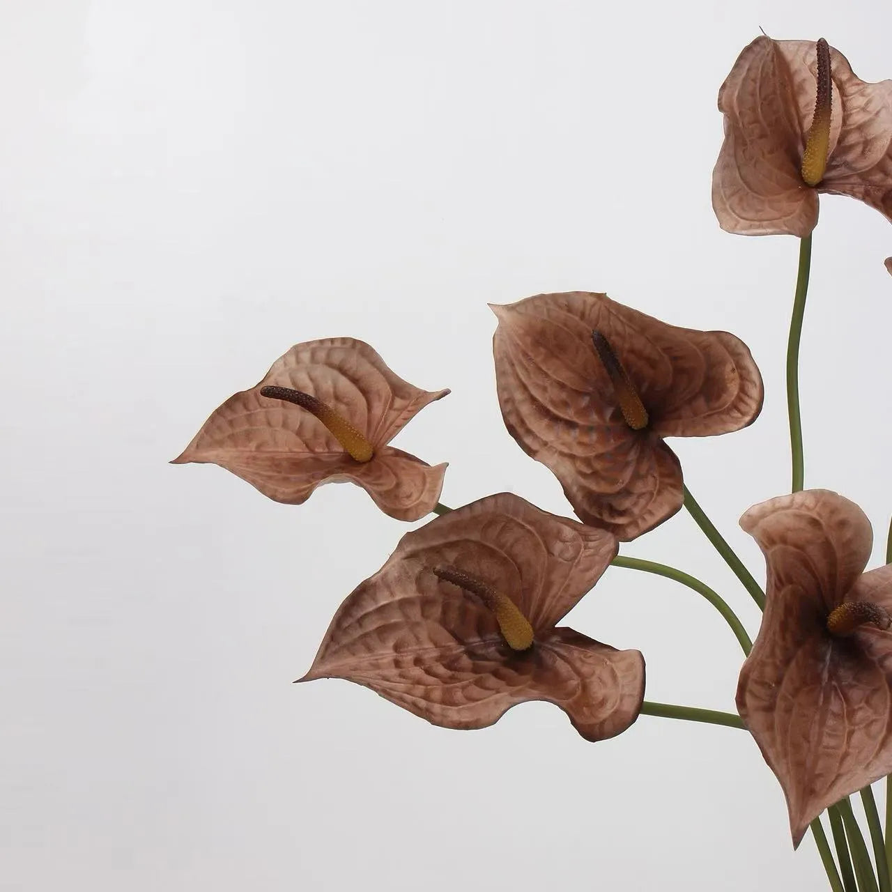 Artificial Anthurium Stem  –Brown 26"