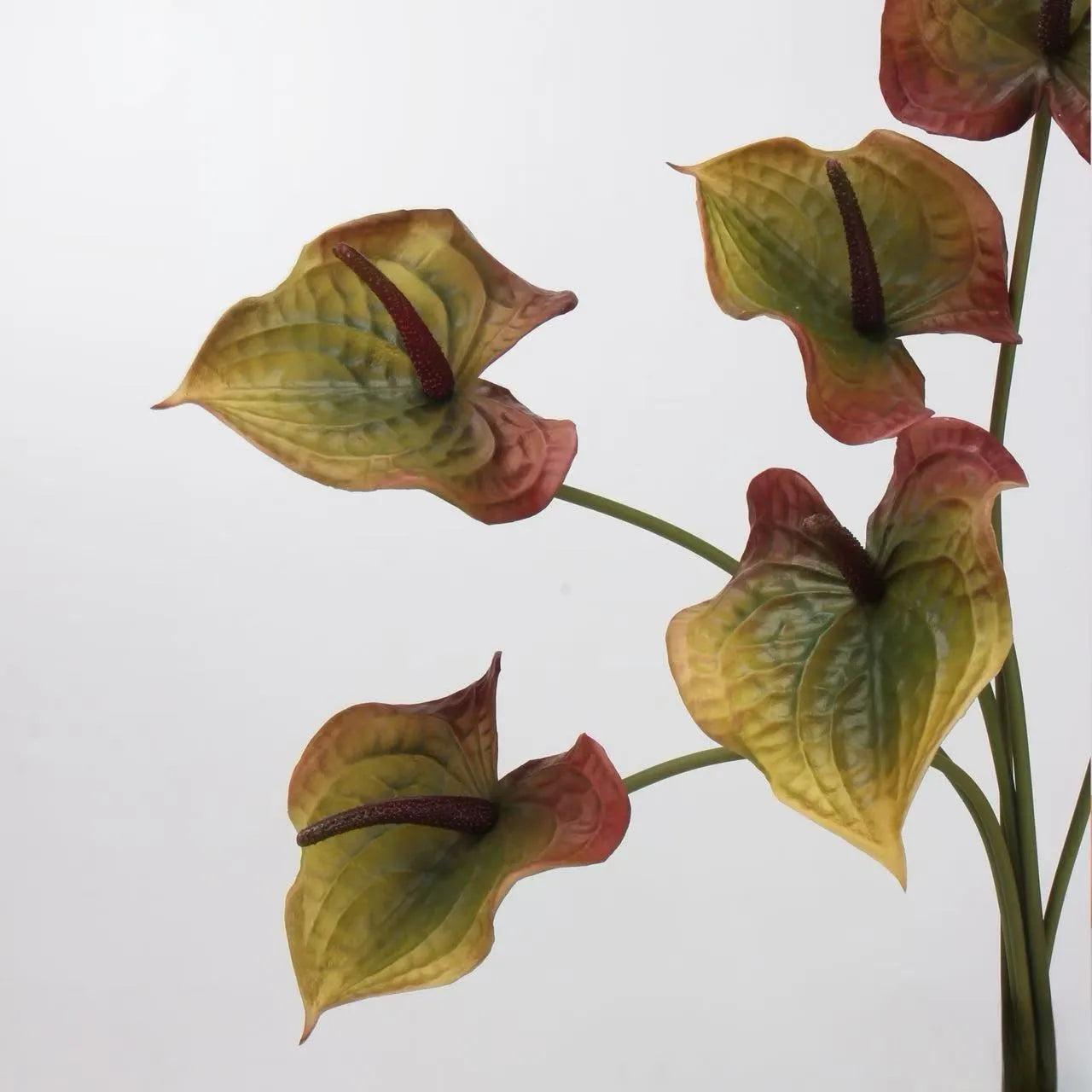 Artificial Anthurium Stem  –Rusty Olive 26"