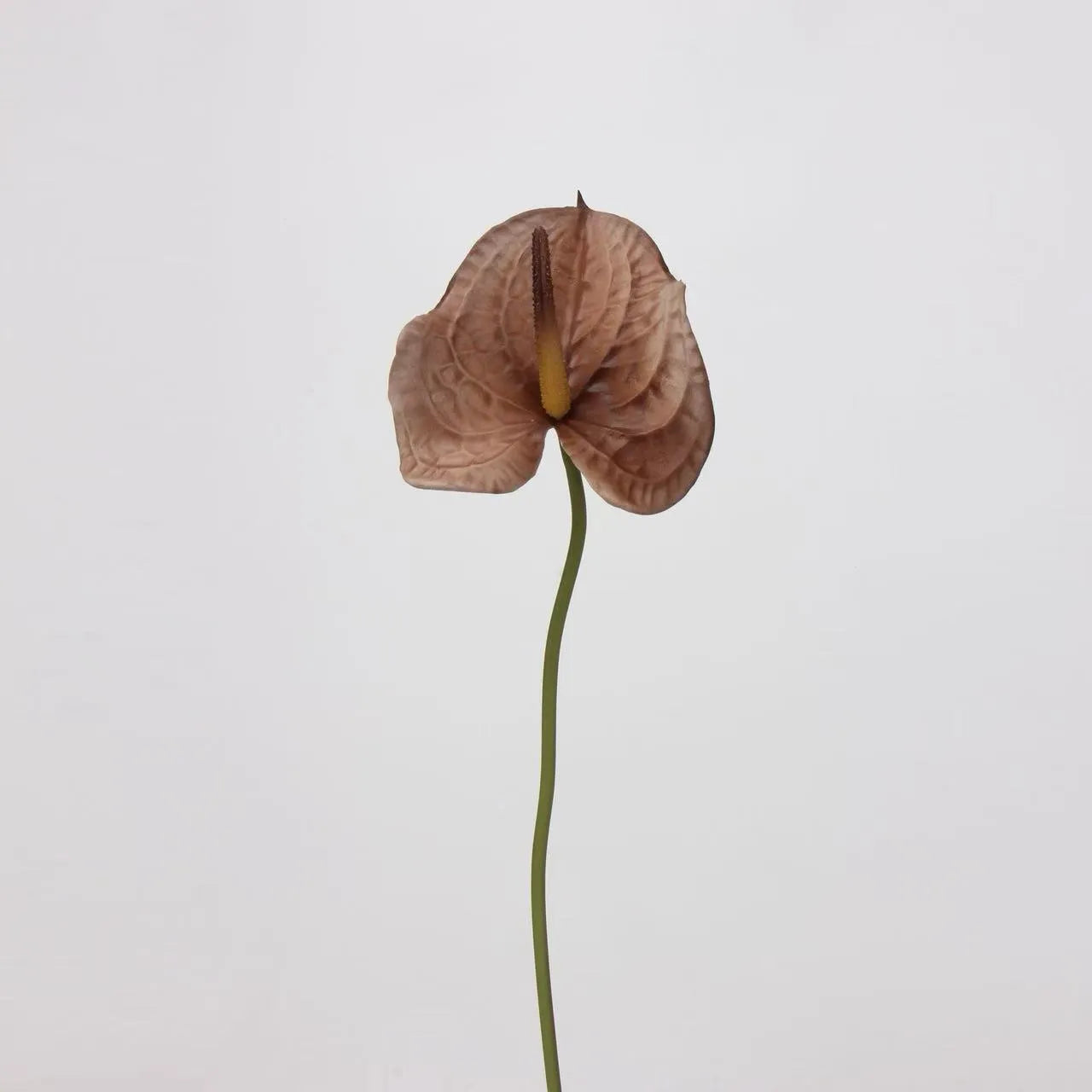 Artificial Anthurium Stem  –Brown 26"