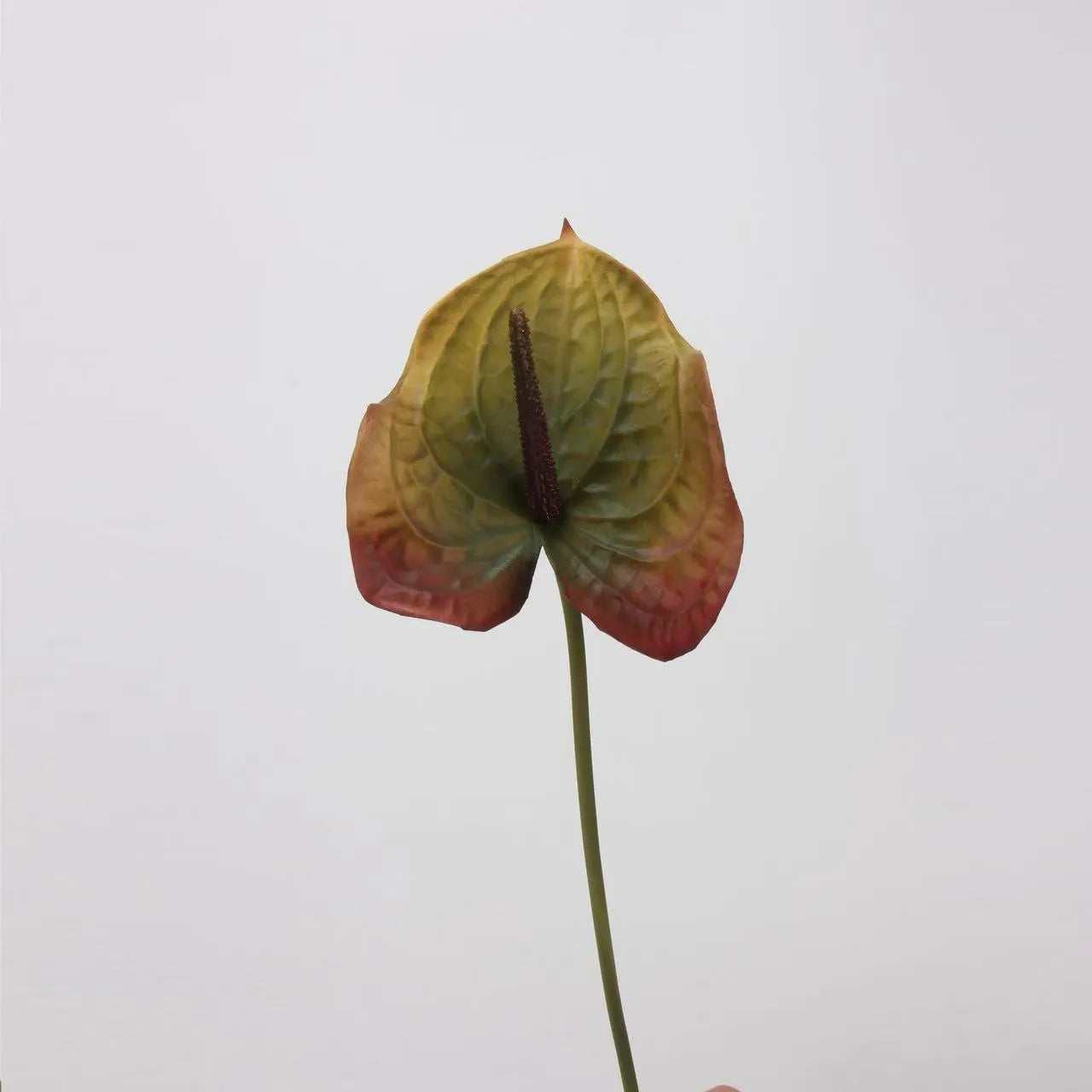 Artificial Anthurium Stem  –Rusty Olive 26"