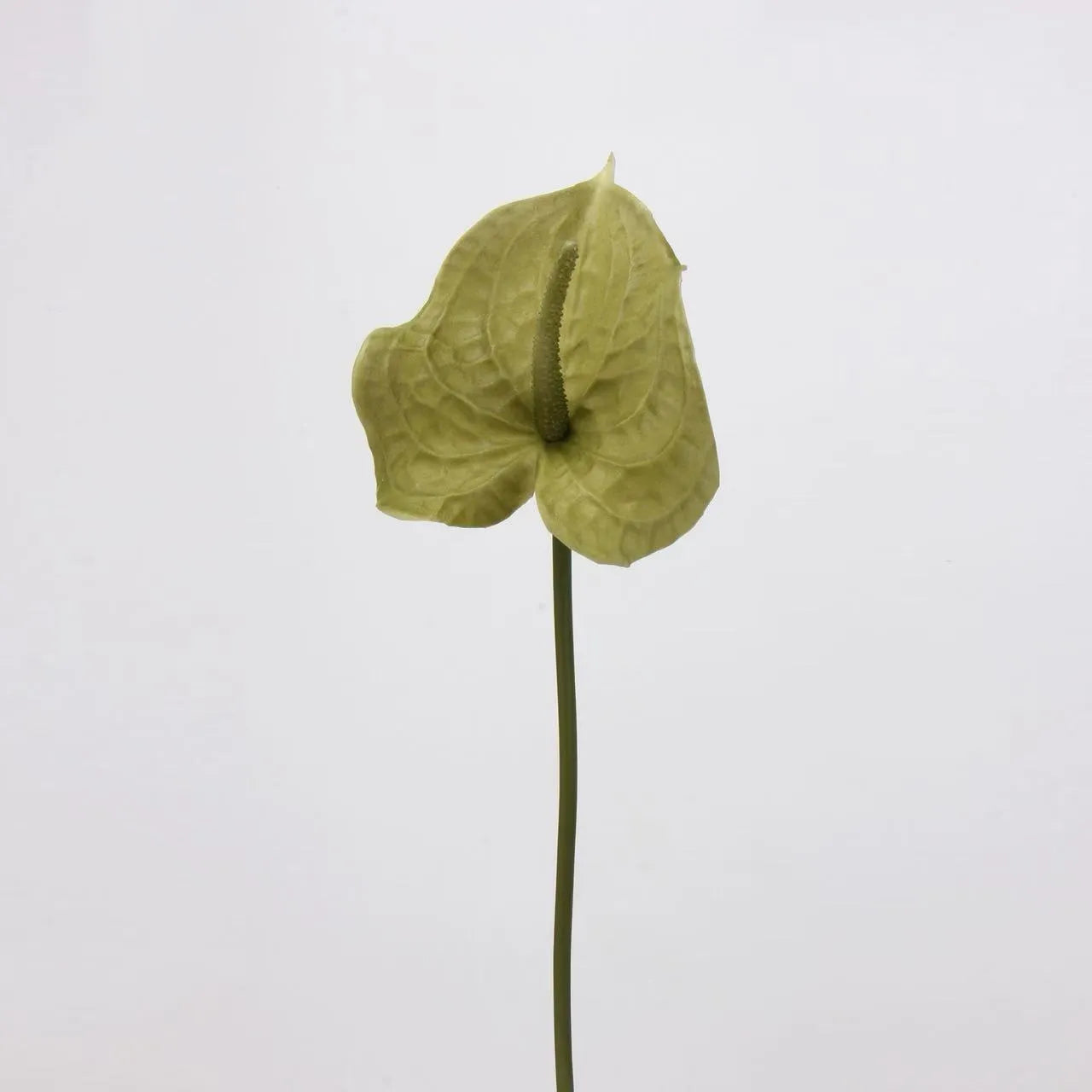 Artificial Anthurium Stem  –Pale Green 26"