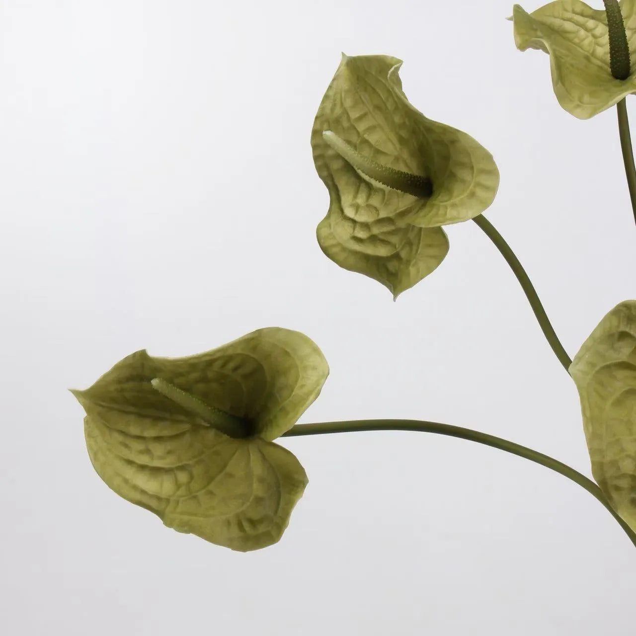 Artificial Anthurium Stem  –Pale Green 26"