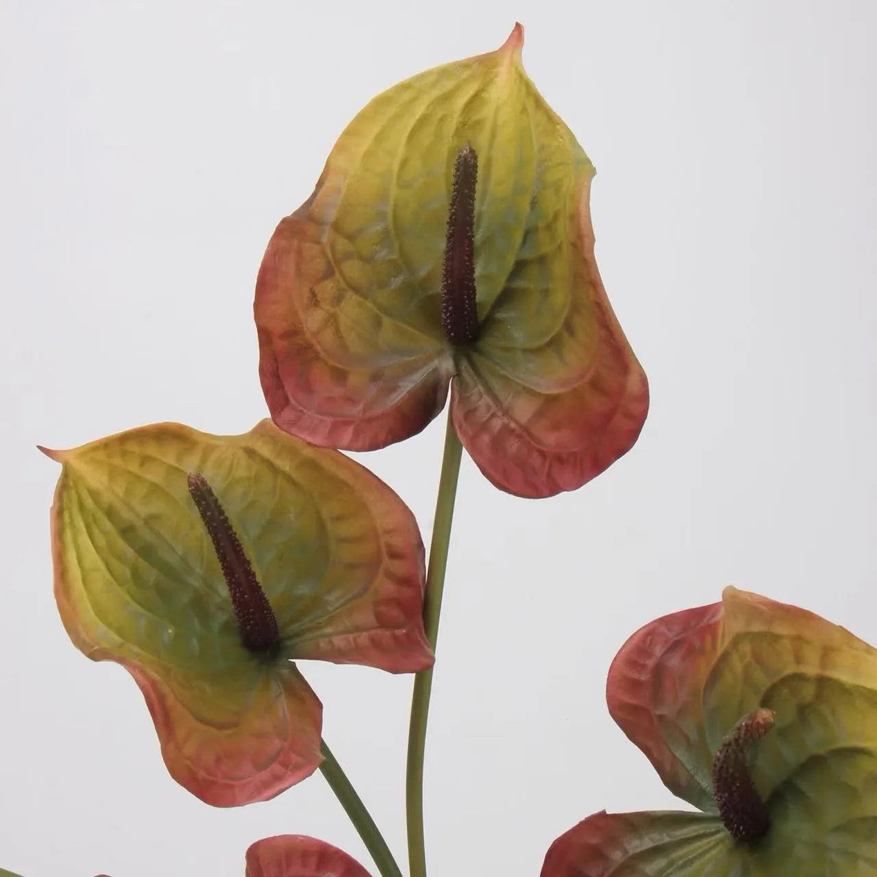 Artificial Anthurium Stem  –Rusty Olive 26"