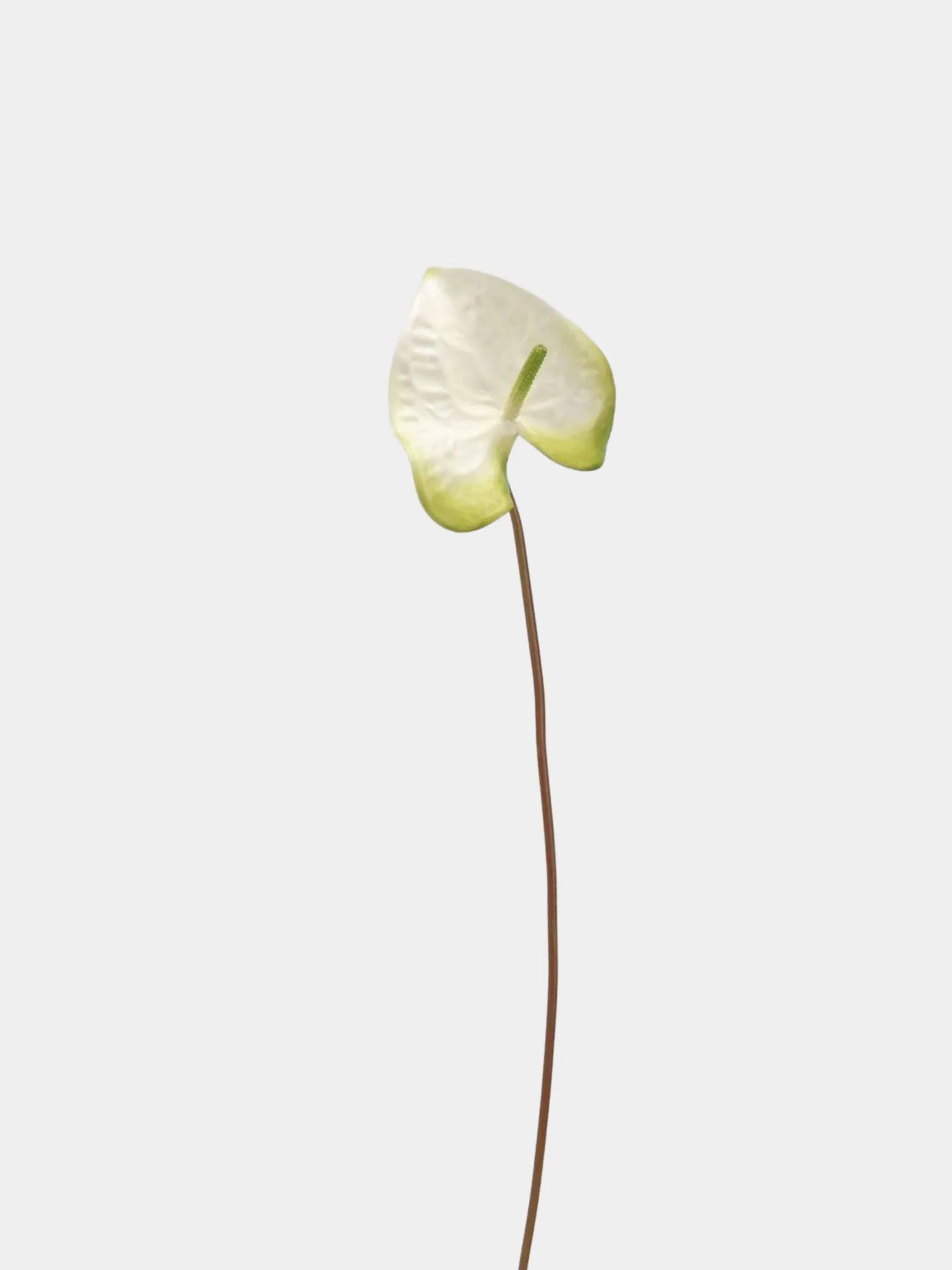 Artificial Anthurium Stem  -Green