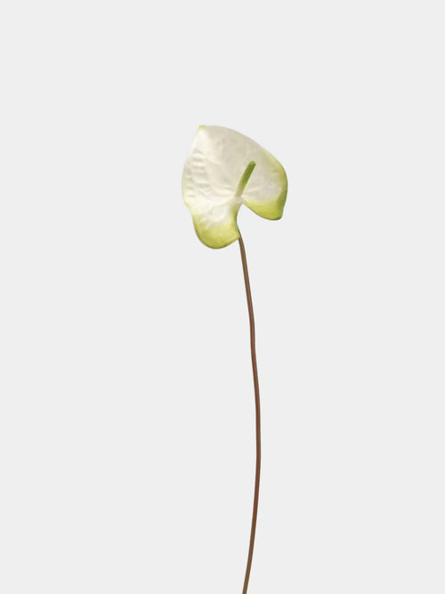 Artificial Anthurium Stem  -Green