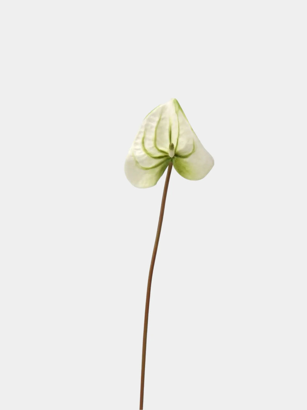 Artificial Anthurium Stem  -Green