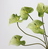 人工アンスリウムステム – 薄緑 22.8"