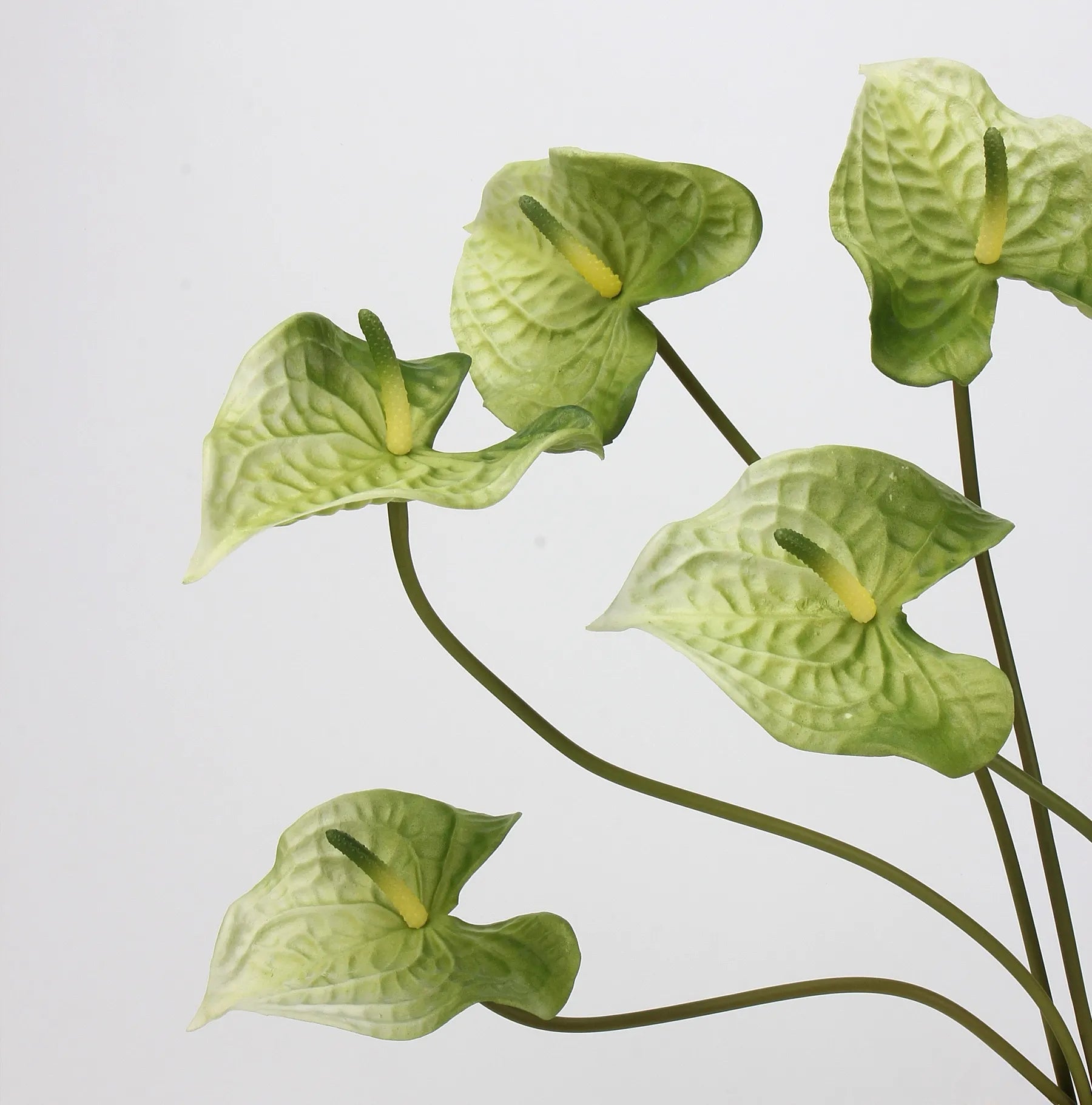 人工アンスリウムステム – 薄緑 22.8"