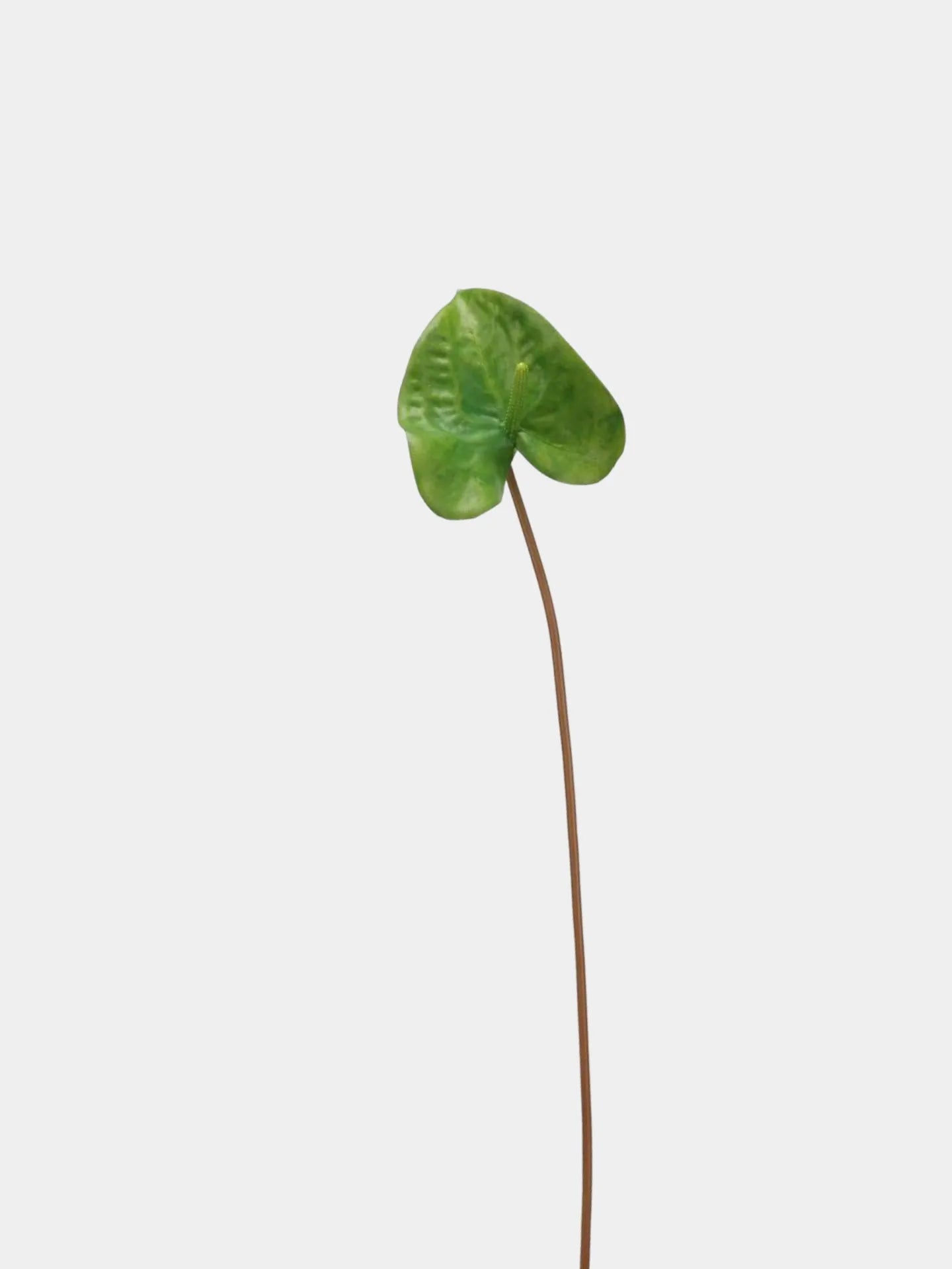 Artificial Anthurium Stem  -Green