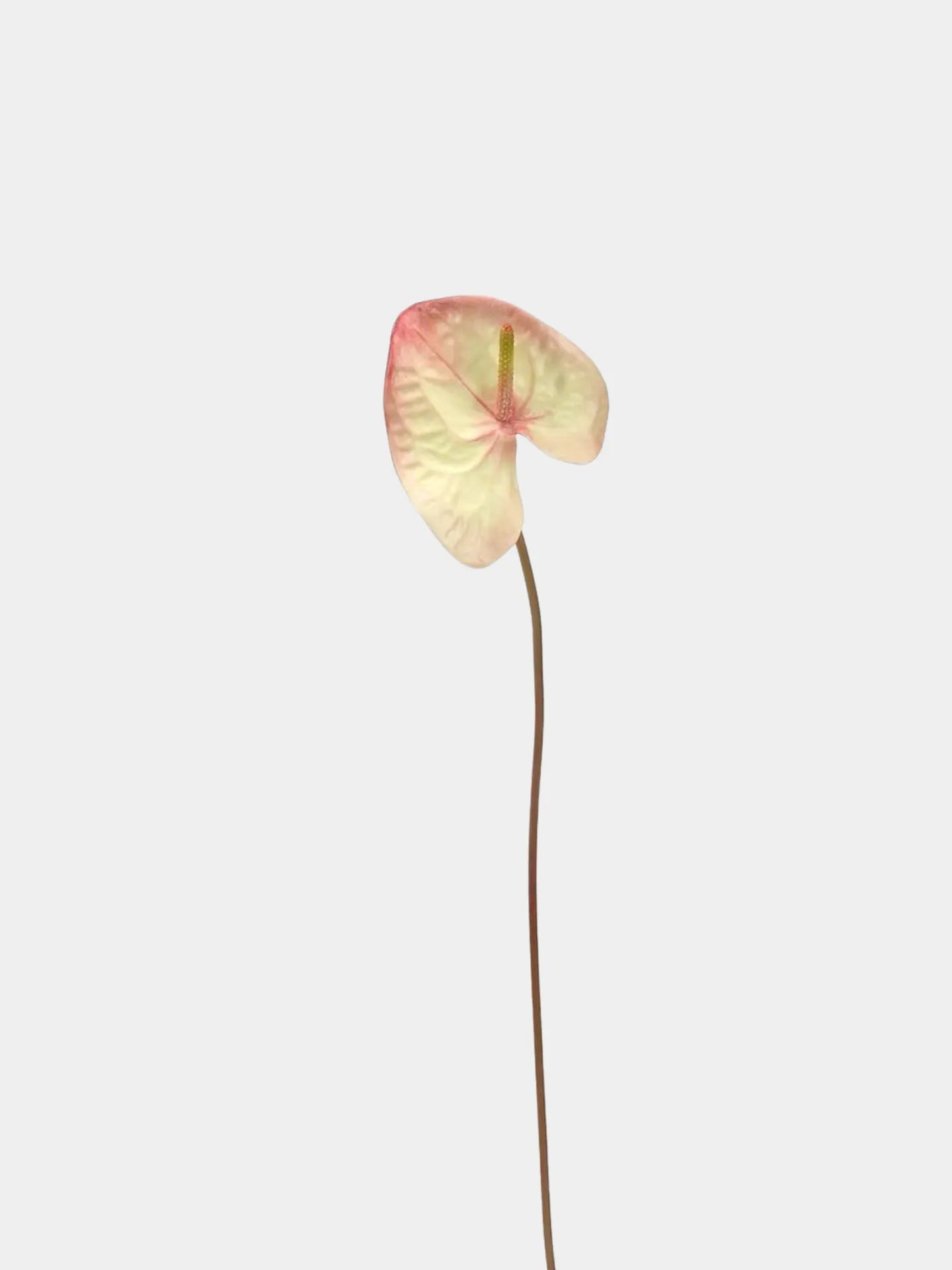 Artificial Anthurium Stem  -Red
