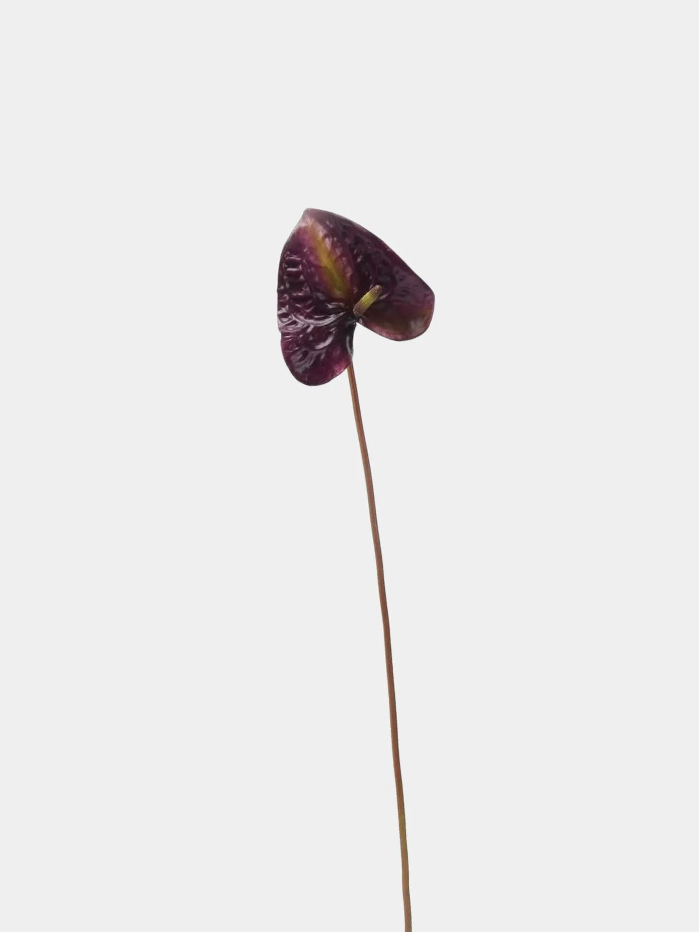 Artificial Anthurium Stem  -Red