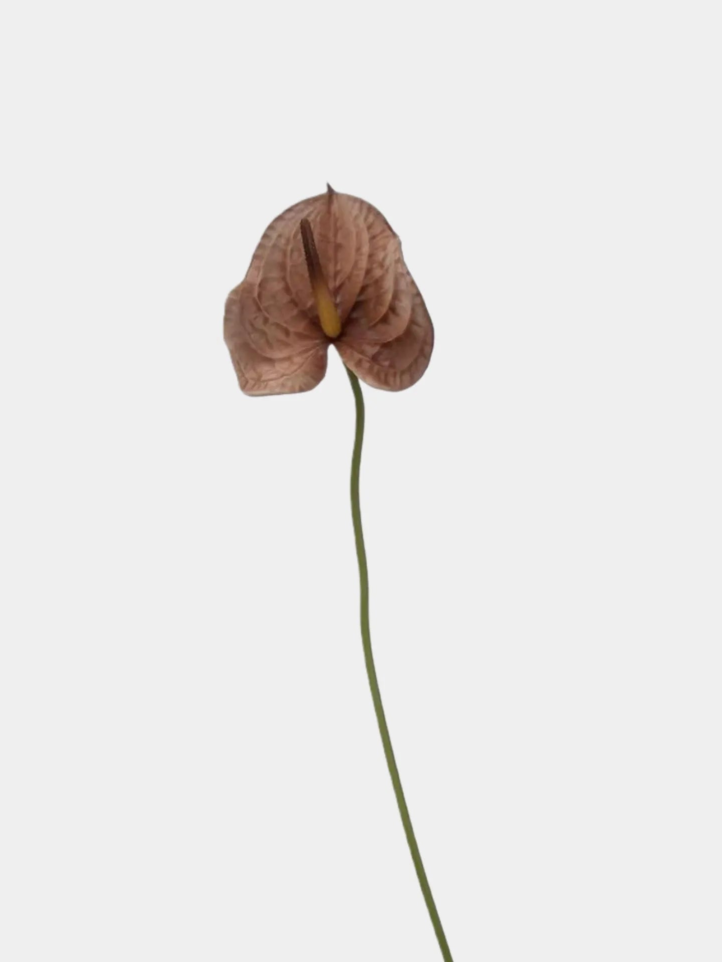 Artificial Anthurium Stem  –Brown 26"