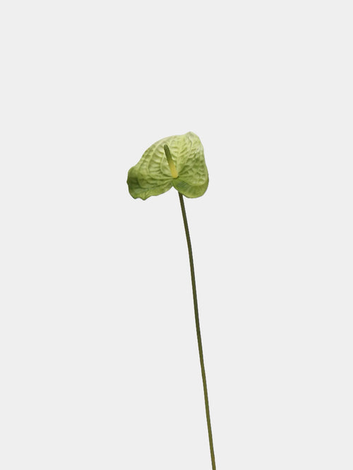 Artificial Anthurium Stem  –Pale Green 22.8"