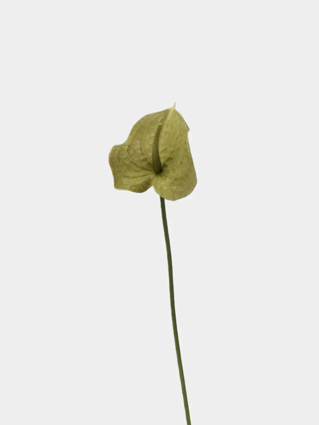 Artificial Anthurium Stem  –Pale Green 26"