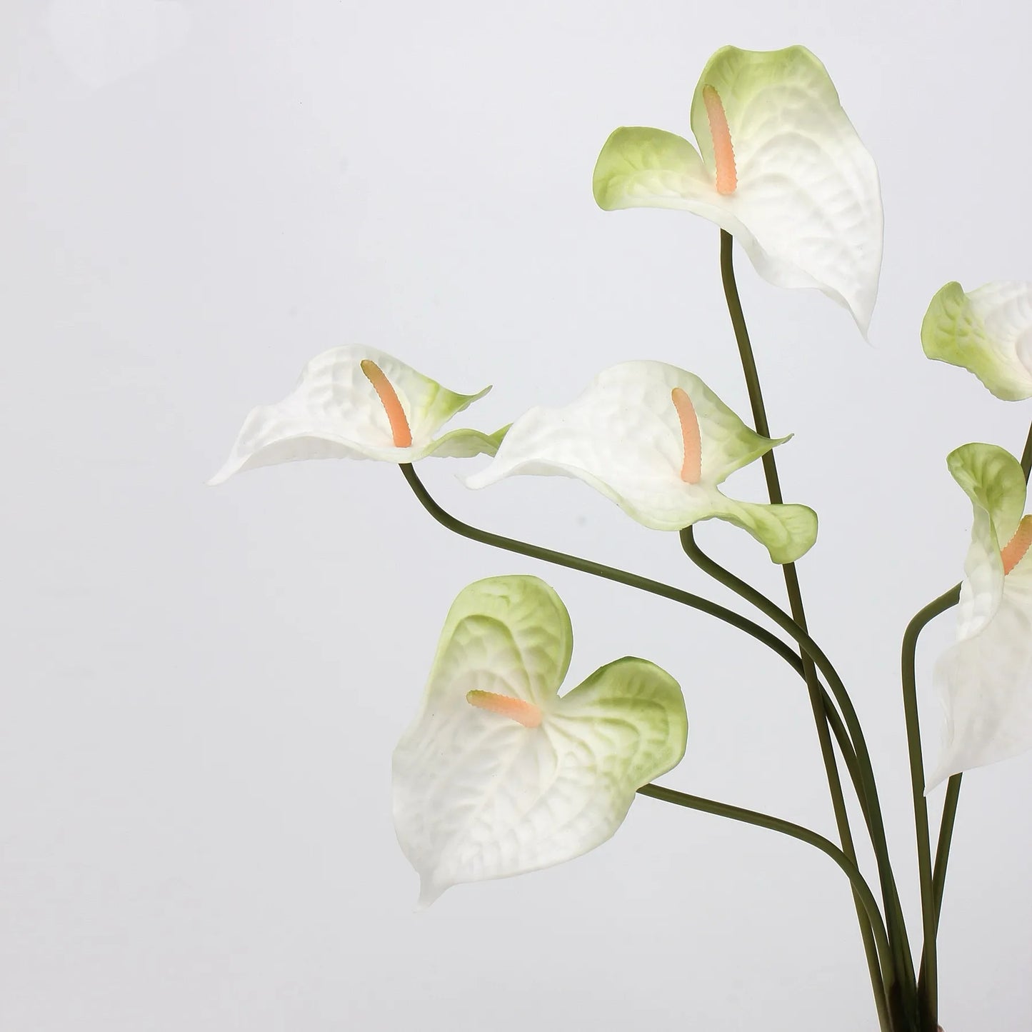 人工アンスリウムステム – ホワイトグリーン 22.8"